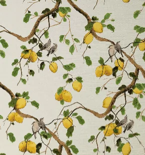 Lemon Birds Grasscloth Wallpaper Swatch by Nathan Turner