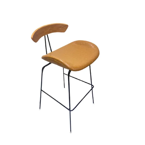 Fondren Modern Bar Stool